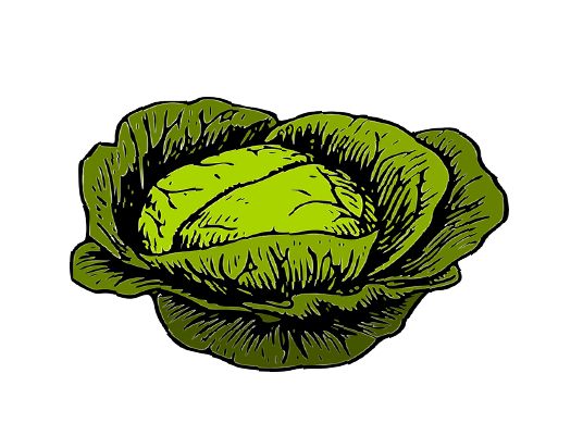 Cabbage Head Cafe Logo