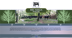 H&S Angus Farm